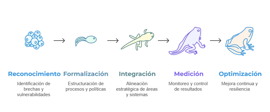 Madurez empresarial: etapas y cómo avanzar eficazmente 4 Road map de la madurez empresarial con enfoque grc