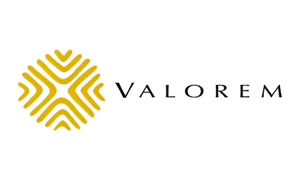 Inicio 52 logo-grupo-empresarial-valorem