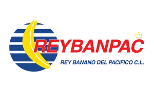 Inicio 64 logo-reybanpac-chile