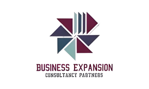partner business expansion consultancy